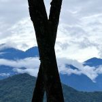 日月潭的山雲樹大合唱 ── 街頭的戲劇瞬間｜日月潭