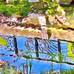 窗櫺 ── 街頭的戲劇瞬間｜國美館柳川溝圳