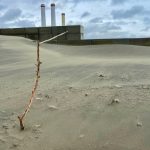 天地之間 ── 街頭的戲劇瞬間｜苗栗後龍海水浴場
